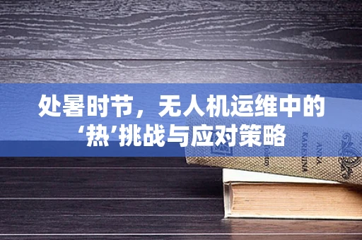 处暑时节，无人机运维中的‘热’挑战与应对策略