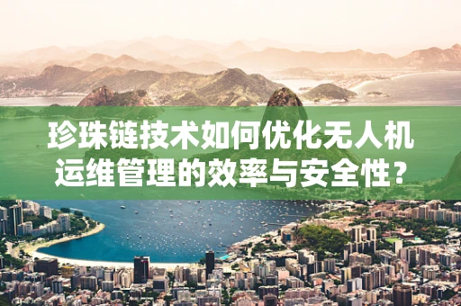珍珠链技术如何优化无人机运维管理的效率与安全性？