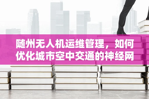 随州无人机运维管理，如何优化城市空中交通的神经网络？