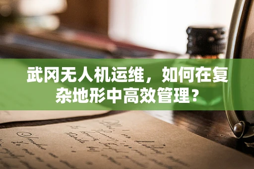 武冈无人机运维，如何在复杂地形中高效管理？