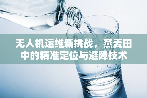 无人机运维新挑战，燕麦田中的精准定位与避障技术