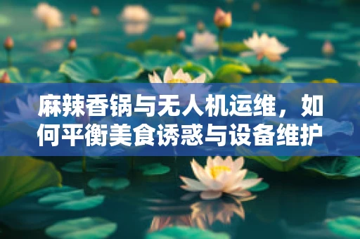 麻辣香锅与无人机运维，如何平衡美食诱惑与设备维护？
