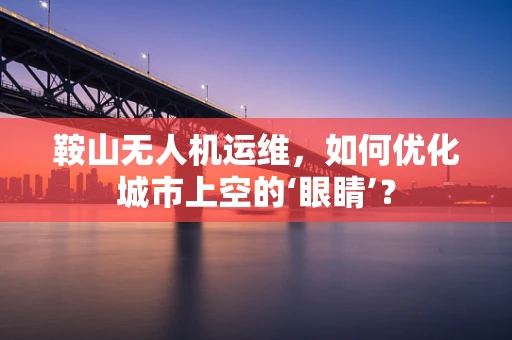 鞍山无人机运维，如何优化城市上空的‘眼睛’？