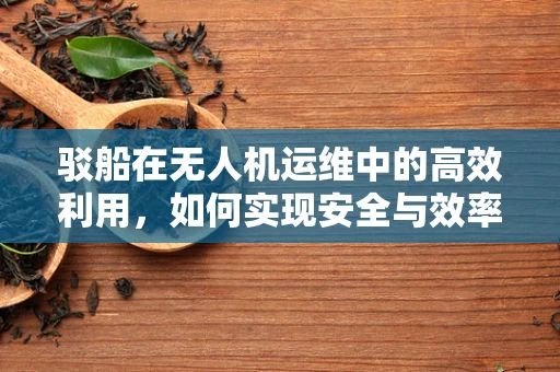 驳船在无人机运维中的高效利用，如何实现安全与效率的双重提升？