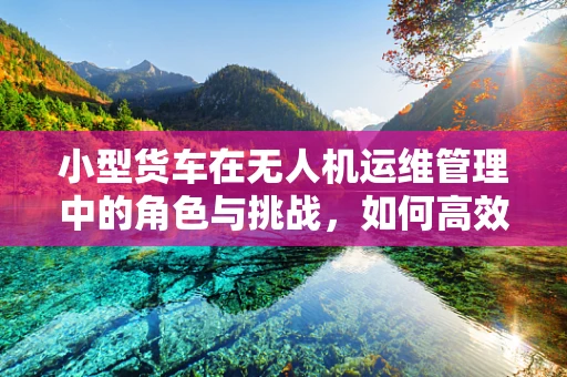 小型货车在无人机运维管理中的角色与挑战，如何高效运输与维护？