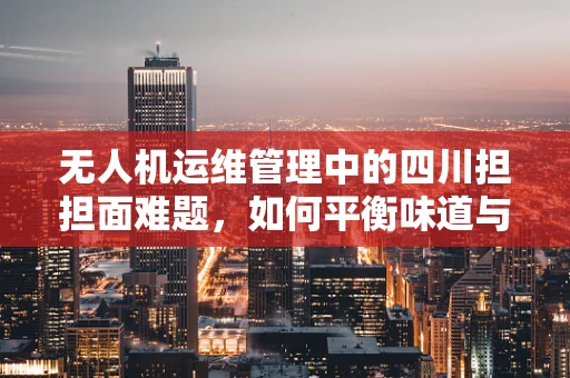 无人机运维管理中的四川担担面难题，如何平衡味道与效率？