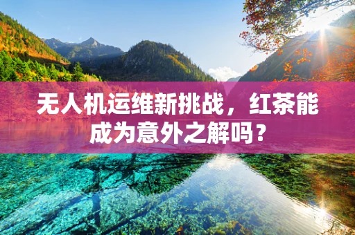 无人机运维新挑战，红茶能成为意外之解吗？