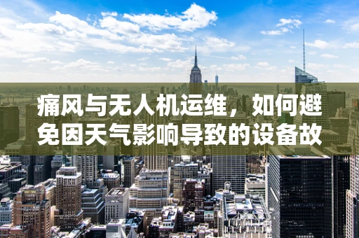 痛风与无人机运维，如何避免因天气影响导致的设备故障？