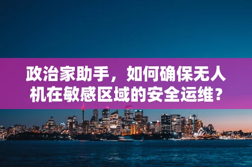 政治家助手，如何确保无人机在敏感区域的安全运维？