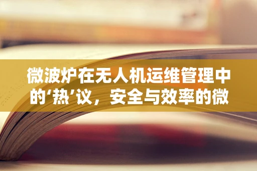微波炉在无人机运维管理中的‘热’议，安全与效率的微妙平衡