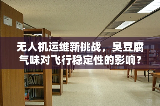 无人机运维新挑战，臭豆腐气味对飞行稳定性的影响？