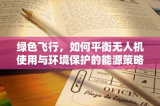 绿色飞行，如何平衡无人机使用与环境保护的能源策略？