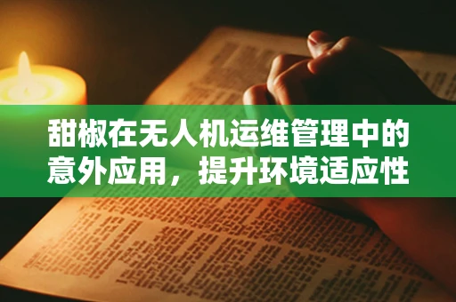 甜椒在无人机运维管理中的意外应用，提升环境适应性监测的奇妙策略
