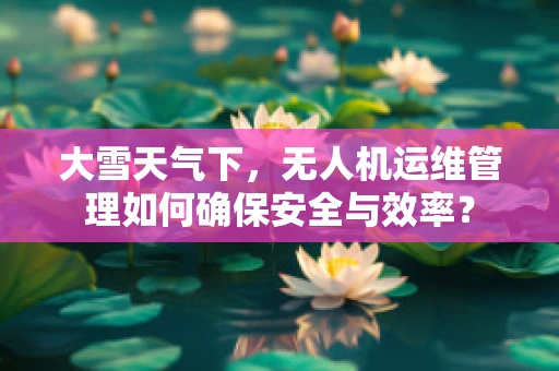 大雪天气下，无人机运维管理如何确保安全与效率？