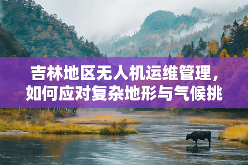 吉林地区无人机运维管理，如何应对复杂地形与气候挑战？