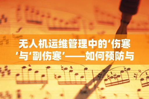 无人机运维管理中的‘伤寒’与‘副伤寒’——如何预防与应对？