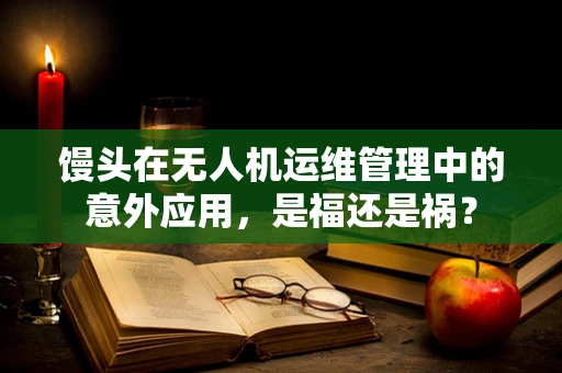 馒头在无人机运维管理中的意外应用，是福还是祸？
