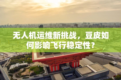 无人机运维新挑战，豆皮如何影响飞行稳定性？