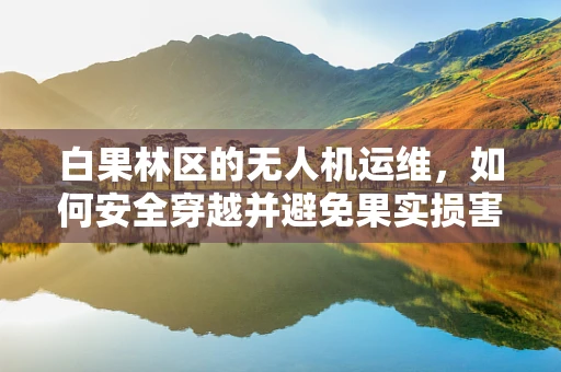 白果林区的无人机运维，如何安全穿越并避免果实损害？