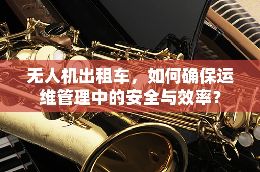 无人机出租车，如何确保运维管理中的安全与效率？