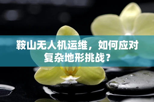 鞍山无人机运维，如何应对复杂地形挑战？