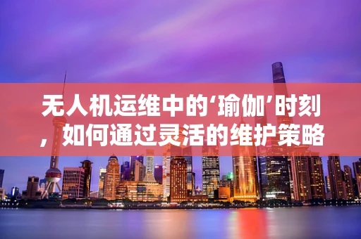 无人机运维中的‘瑜伽’时刻，如何通过灵活的维护策略保持设备‘身心’健康？