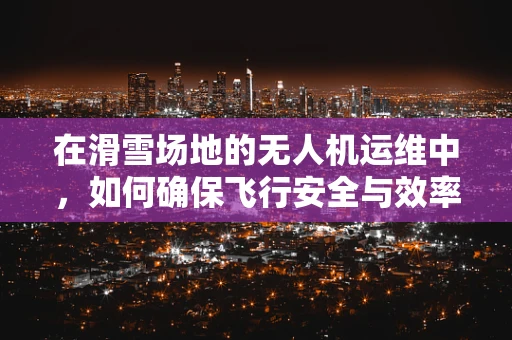在滑雪场地的无人机运维中，如何确保飞行安全与效率？
