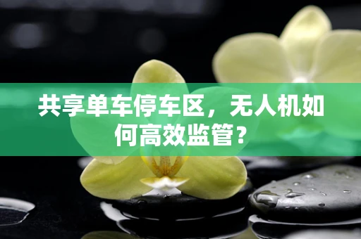 共享单车停车区，无人机如何高效监管？