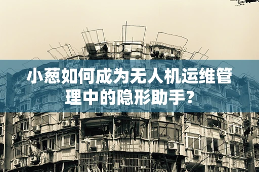 小葱如何成为无人机运维管理中的隐形助手？