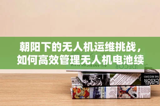 朝阳下的无人机运维挑战，如何高效管理无人机电池续航？