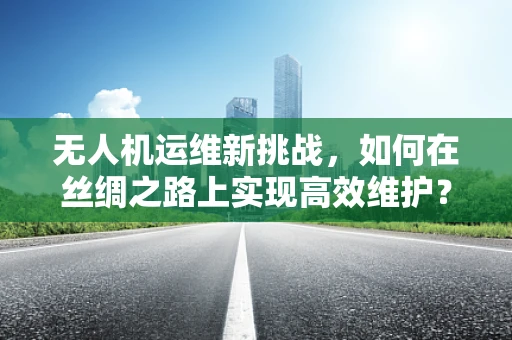 无人机运维新挑战，如何在丝绸之路上实现高效维护？