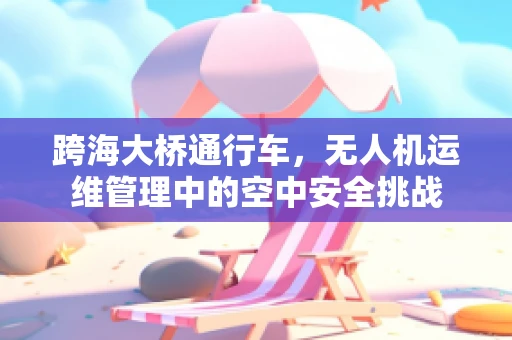 跨海大桥通行车，无人机运维管理中的空中安全挑战