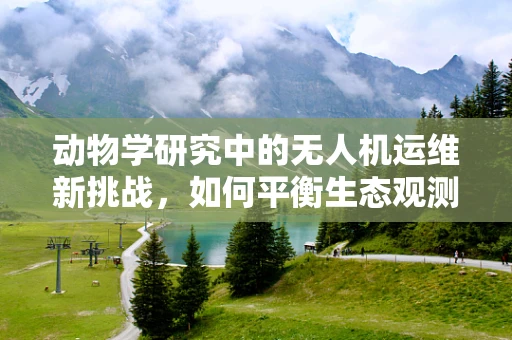 动物学研究中的无人机运维新挑战，如何平衡生态观测与动物行为干扰？
