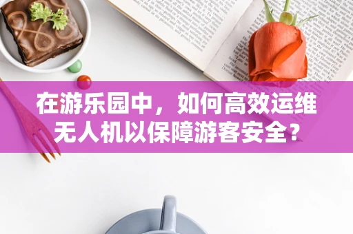在游乐园中，如何高效运维无人机以保障游客安全？