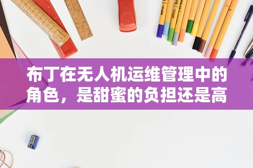 布丁在无人机运维管理中的角色，是甜蜜的负担还是高效的助手？
