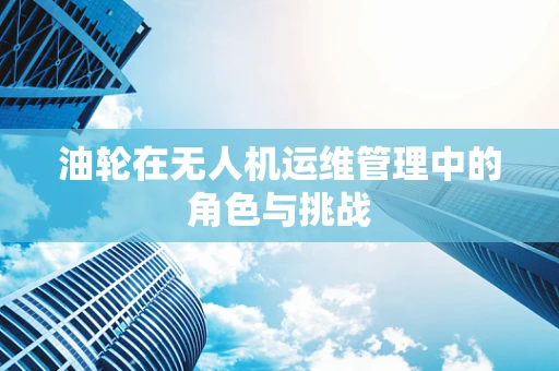 油轮在无人机运维管理中的角色与挑战