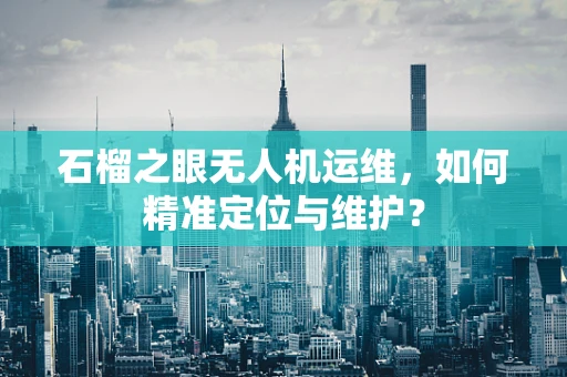 石榴之眼无人机运维，如何精准定位与维护？
