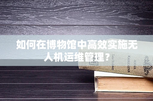 如何在博物馆中高效实施无人机运维管理？