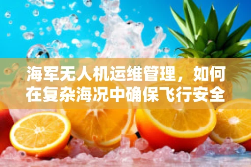 海军无人机运维管理，如何在复杂海况中确保飞行安全？