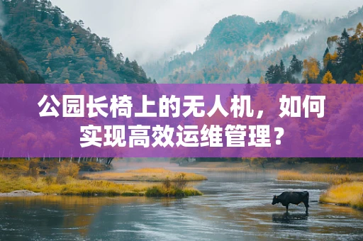 公园长椅上的无人机，如何实现高效运维管理？