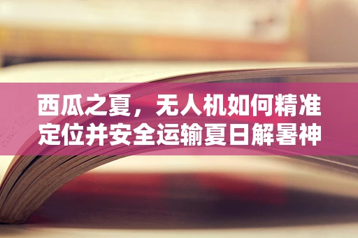 西瓜之夏，无人机如何精准定位并安全运输夏日解暑神器？