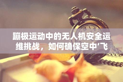 蹦极运动中的无人机安全运维挑战，如何确保空中‘飞跃’无忧？