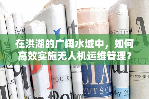 在洪湖的广阔水域中，如何高效实施无人机运维管理？