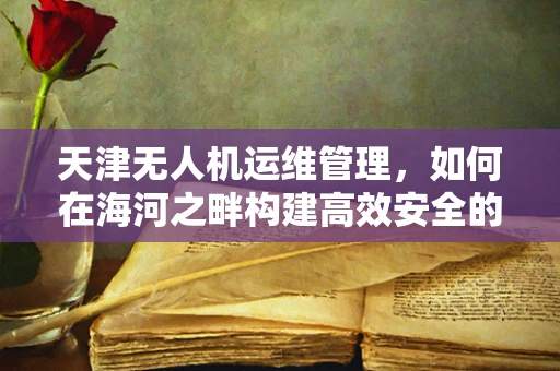 天津无人机运维管理，如何在海河之畔构建高效安全的空中守护者？