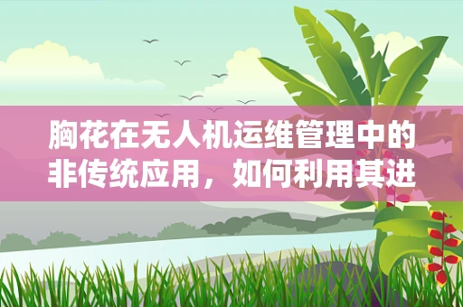 胸花在无人机运维管理中的非传统应用，如何利用其进行快速身份识别？