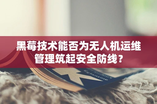 黑莓技术能否为无人机运维管理筑起安全防线？