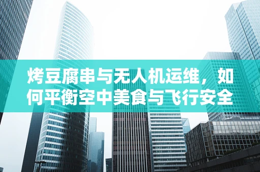 烤豆腐串与无人机运维，如何平衡空中美食与飞行安全？