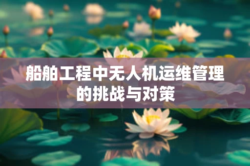 船舶工程中无人机运维管理的挑战与对策