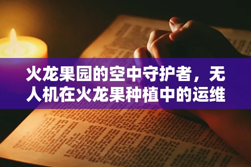 火龙果园的空中守护者，无人机在火龙果种植中的运维挑战与解决方案