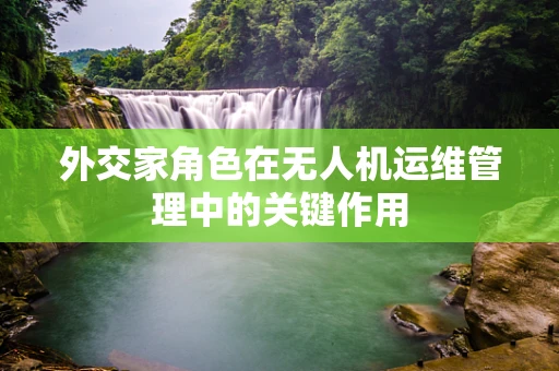 外交家角色在无人机运维管理中的关键作用